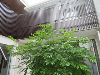 IMG_9980.jpg